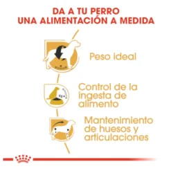 Royal Canin Adult Beagle pienso para perros