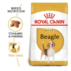 Royal Canin Adult Beagle pienso para perros