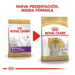 Royal Canin Adult Bichón Maltés pienso para perros
