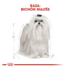 Royal Canin Adult Bichón Maltés pienso para perros