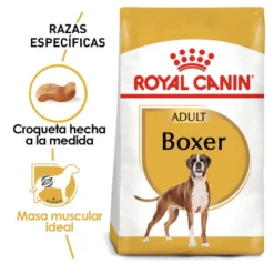 Royal Canin Adult Boxer pienso para perros