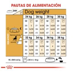 Royal Canin Adult Boxer pienso para perros