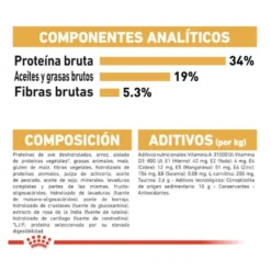 Royal Canin Adult British Shorthair pienso para gatos