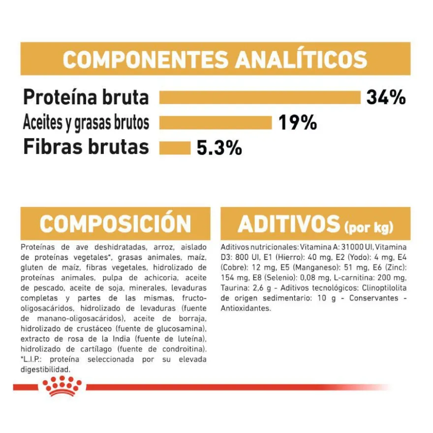 Royal Canin Adult British Shorthair pienso para gatos
