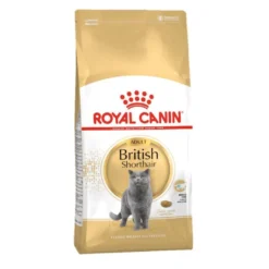 Royal Canin Adult British Shorthair pienso para gatos