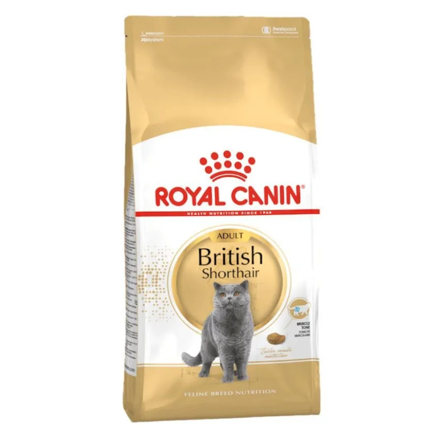 Royal Canin Adult British Shorthair pienso para gatos
