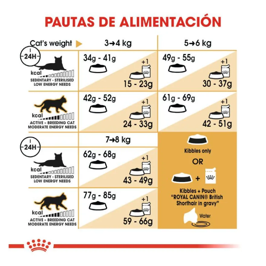 Royal Canin Adult British Shorthair pienso para gatos