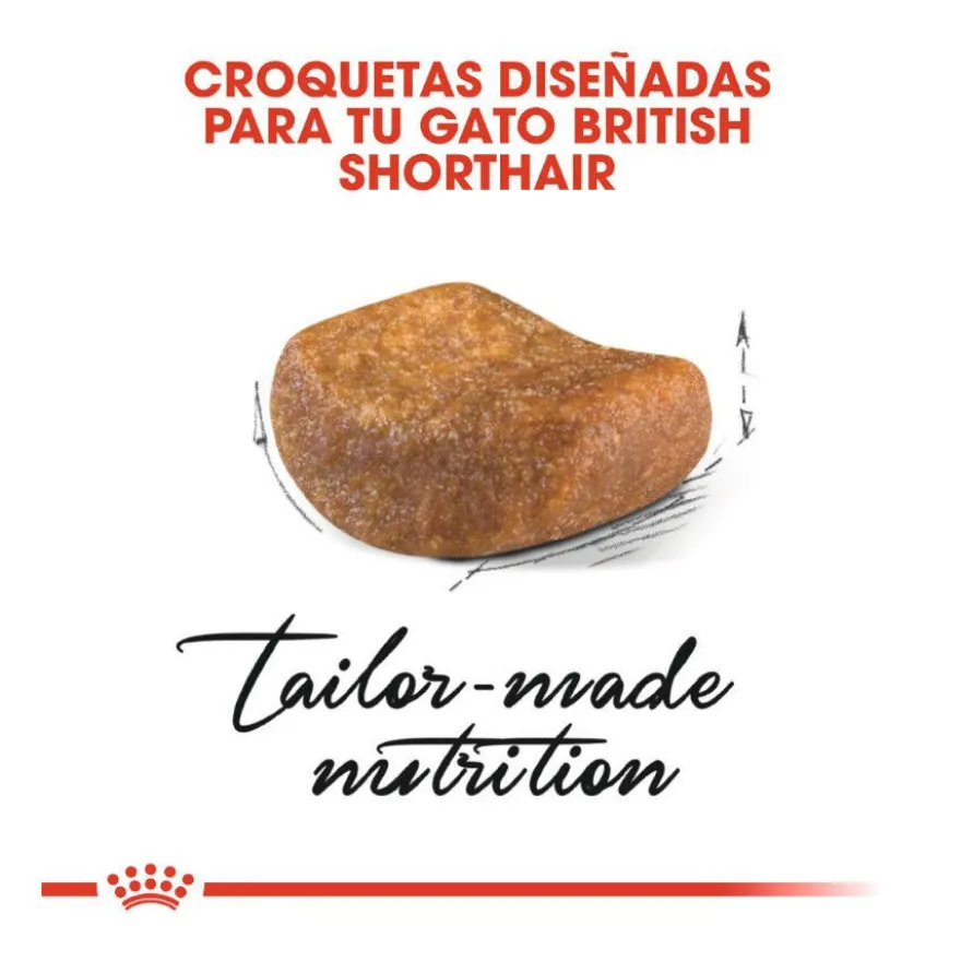 Royal Canin Adult British Shorthair pienso para gatos