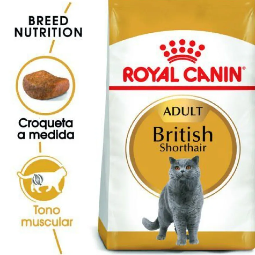 Royal Canin Adult British Shorthair pienso para gatos