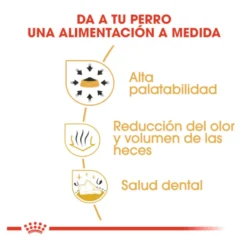 Royal Canin Adult Chihuahua pienso para perros