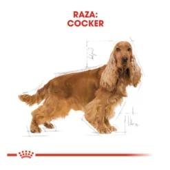 Royal Canin Adult Cocker pienso para perros