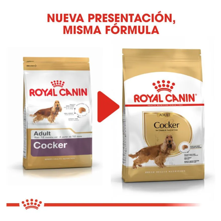 Royal Canin Adult Cocker pienso para perros