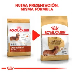 Royal Canin Adult Dachshund pienso para perros