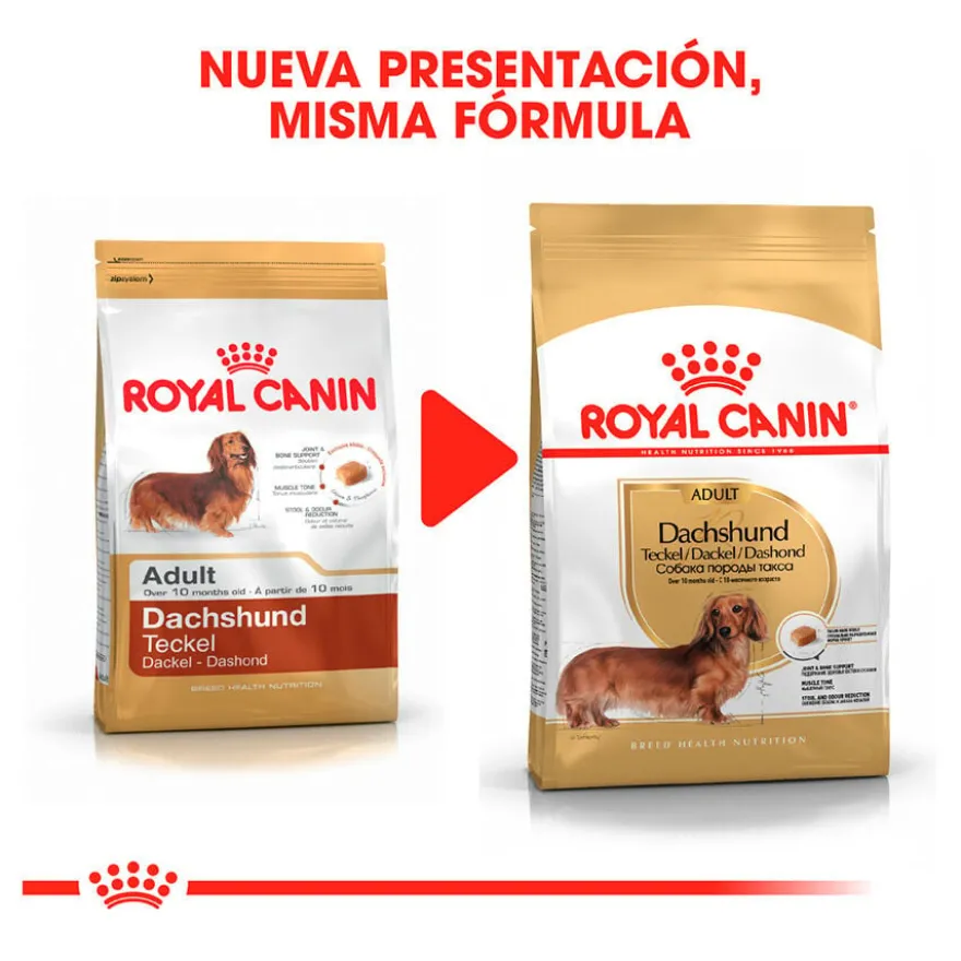 Royal Canin Adult Dachshund pienso para perros
