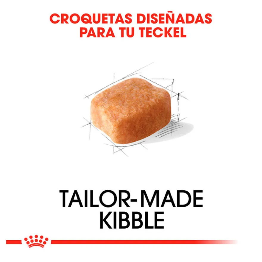 Royal Canin Adult Dachshund pienso para perros