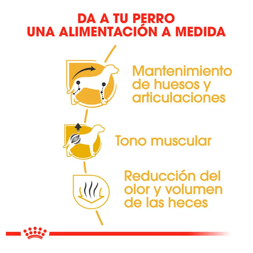 Royal Canin Adult Dachshund pienso para perros