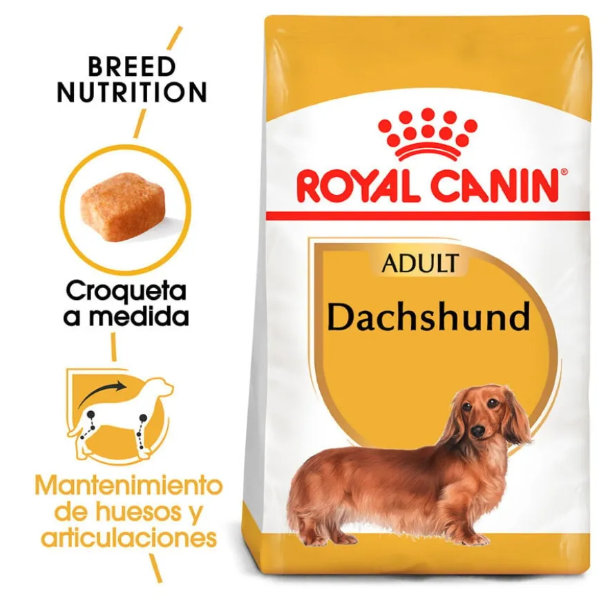 Royal Canin Adult Dachshund pienso para perros