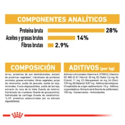 Royal Canin Adult Dachshund pienso para perros