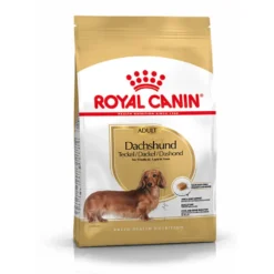 Royal Canin Adult Dachshund pienso para perros