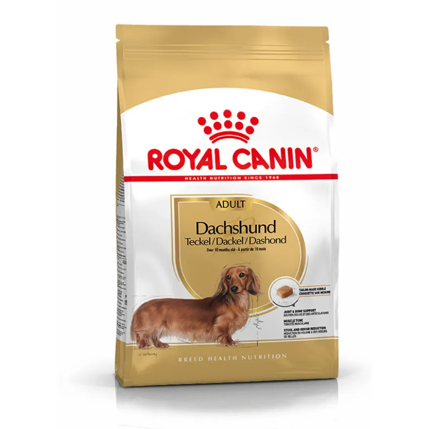 Royal Canin Adult Dachshund pienso para perros