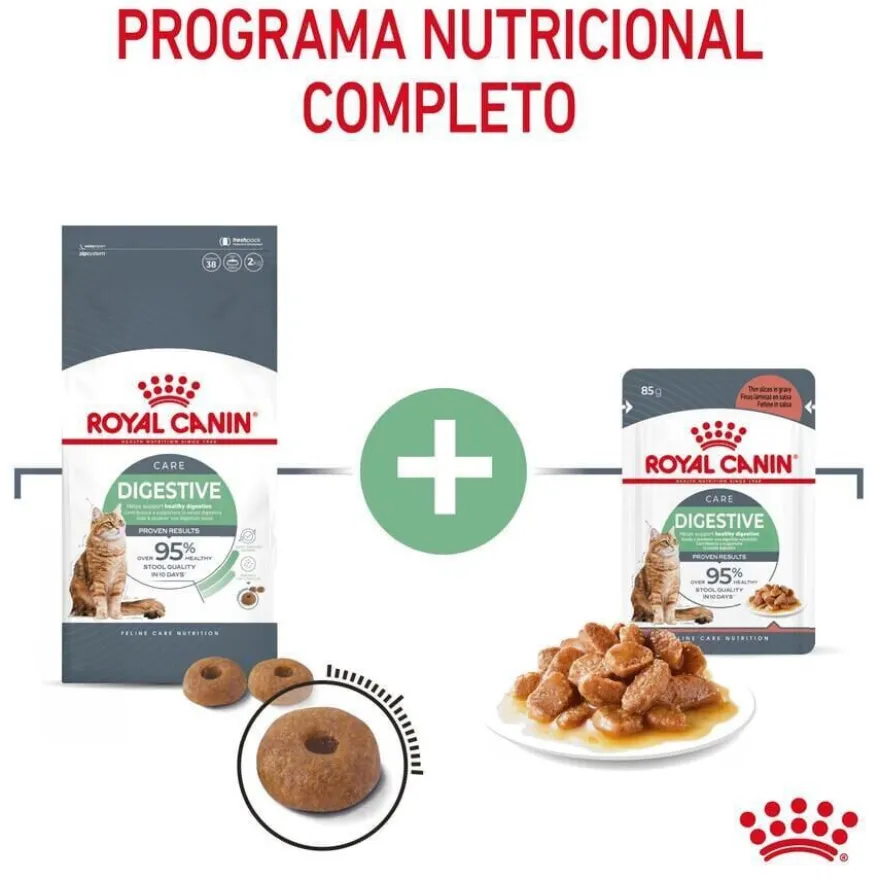 Royal Canin Adult Digestive pienso para gatos