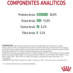 Royal Canin Adult Digestive pienso para gatos