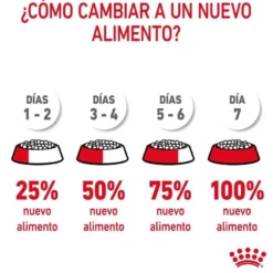 Royal Canin Adult Digestive pienso para gatos