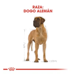 Royal Canin Adult Great Dane pienso para perros