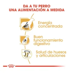 Royal Canin Adult Great Dane pienso para perros