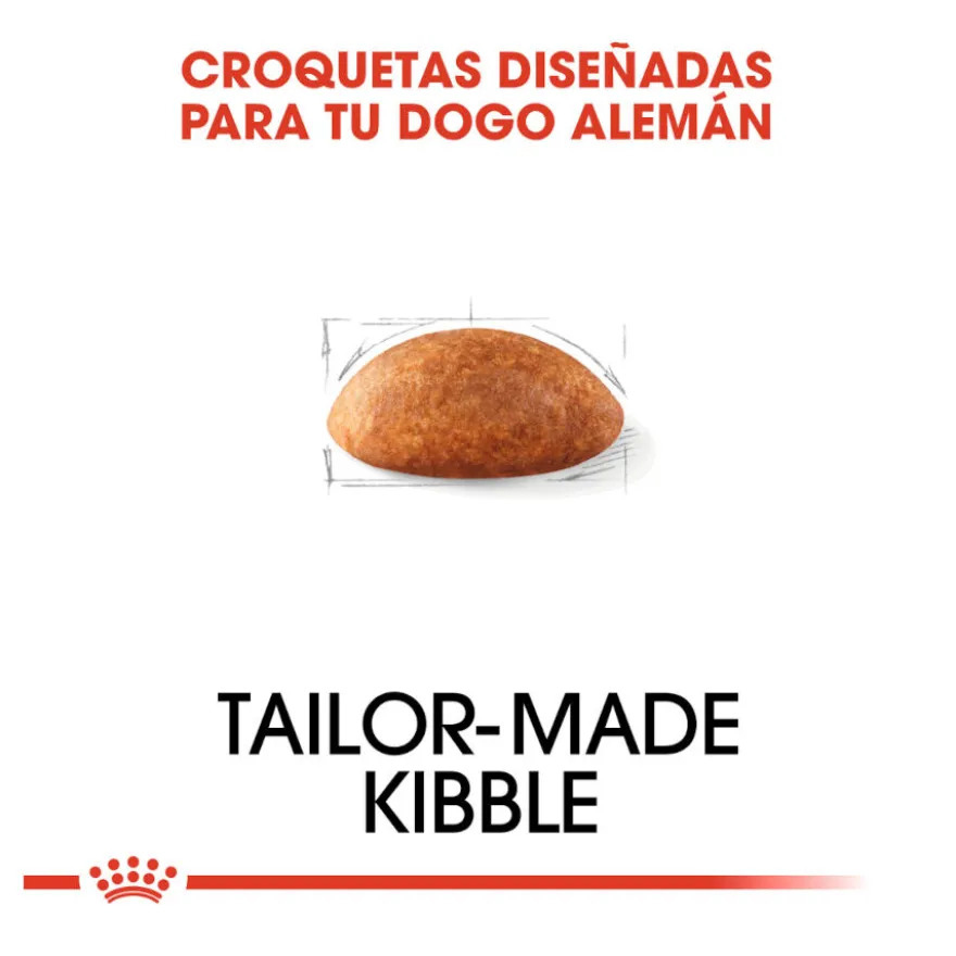 Royal Canin Adult Great Dane pienso para perros