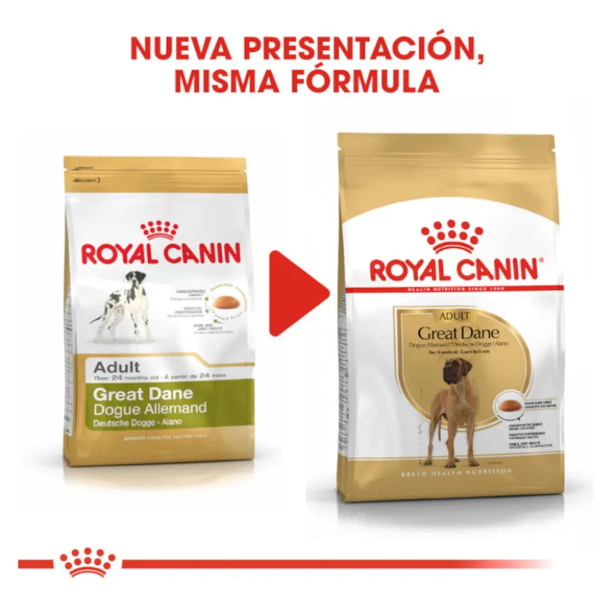 Royal Canin Adult Great Dane pienso para perros
