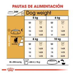 Royal Canin Adult Jack Russell Terrier pienso para perros