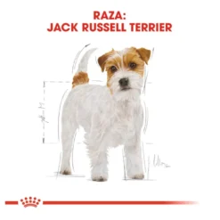 Royal Canin Adult Jack Russell Terrier pienso para perros