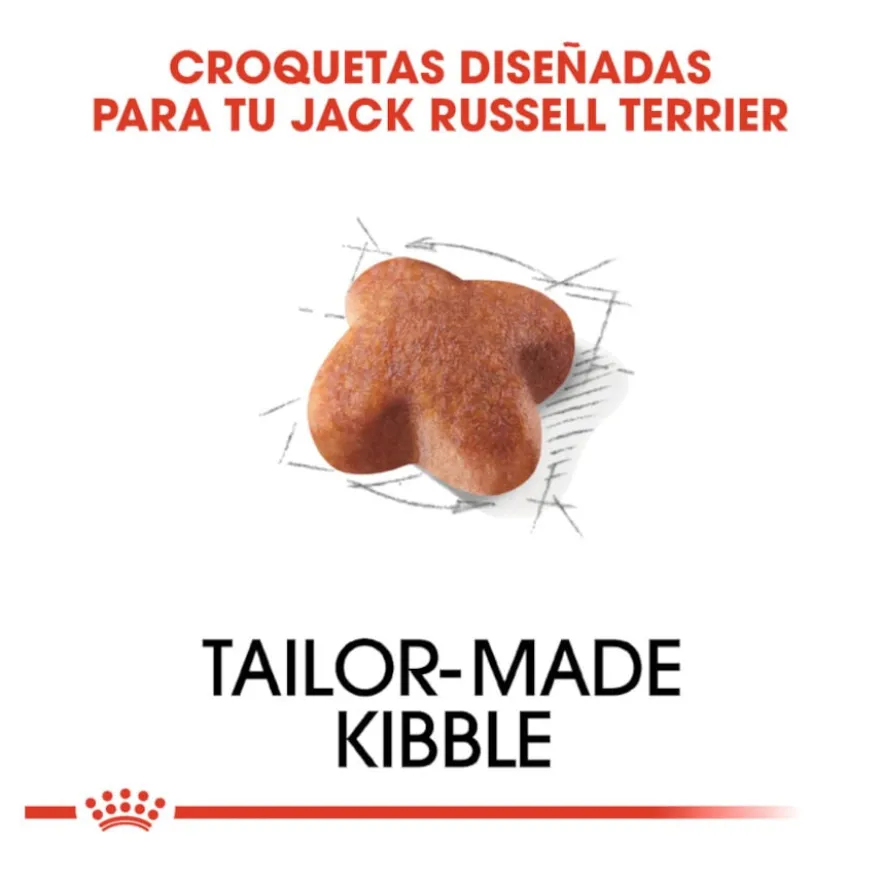 Royal Canin Adult Jack Russell Terrier pienso para perros