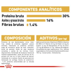 Royal Canin Adult Jack Russell Terrier pienso para perros