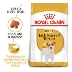 Royal Canin Adult Jack Russell Terrier pienso para perros