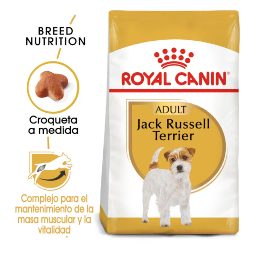 Royal Canin Adult Jack Russell Terrier pienso para perros