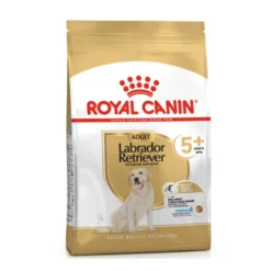 Royal Canin Adult 5+ Labrador pienso para perros