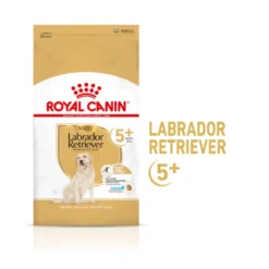 Royal Canin Adult 5+ Labrador pienso para perros