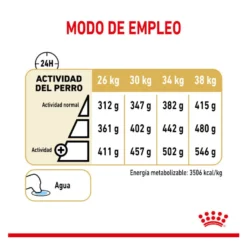 Royal Canin Adult 5+ Labrador pienso para perros