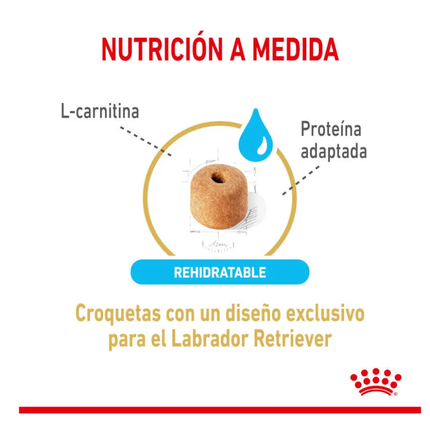 Royal Canin Adult 5+ Labrador pienso para perros