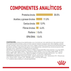 Royal Canin Adult 5+ Labrador pienso para perros