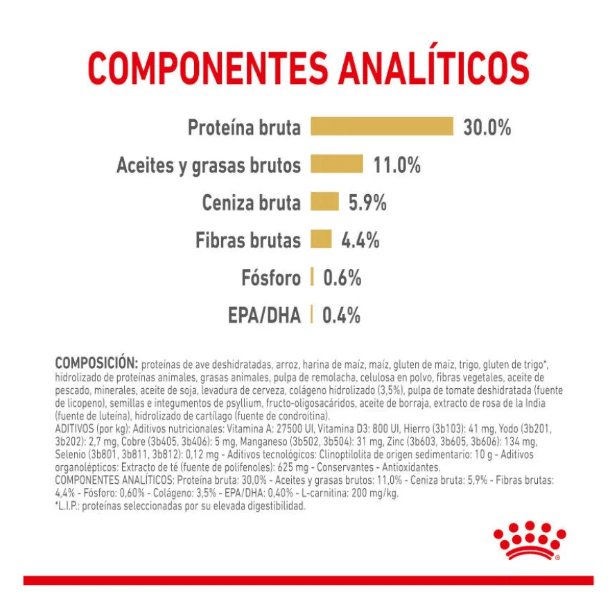 Royal Canin Adult 5+ Labrador pienso para perros