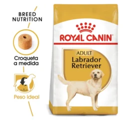 Royal Canin Adult Labrador Retriever pienso para perros