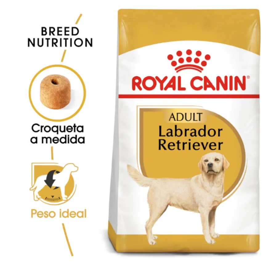 Royal Canin Adult Labrador Retriever pienso para perros