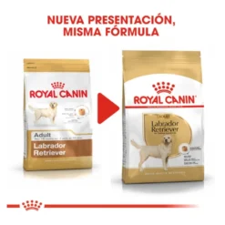 Royal Canin Adult Labrador Retriever pienso para perros