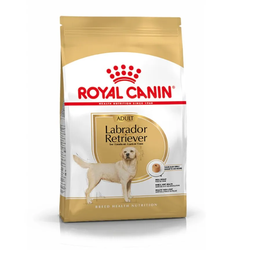 Royal Canin Adult Labrador Retriever pienso para perros