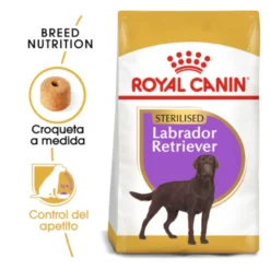 Royal Canin Adult Labrador Sterilised pienso para perros