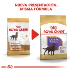 Royal Canin Adult Labrador Sterilised pienso para perros