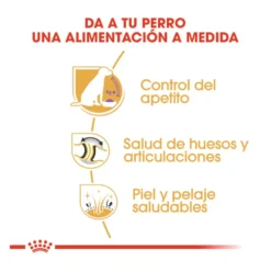 Royal Canin Adult Labrador Sterilised pienso para perros